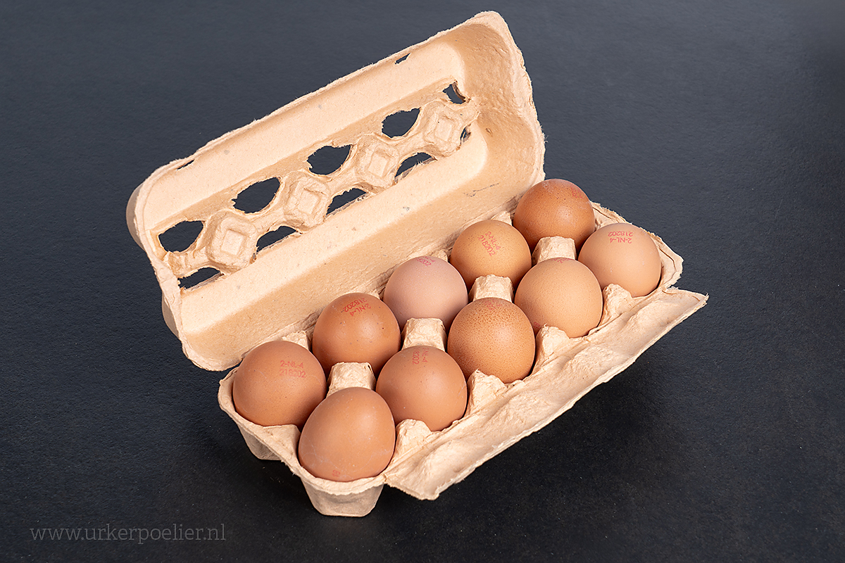 8668_Doosje Eieren Doosje Eieren